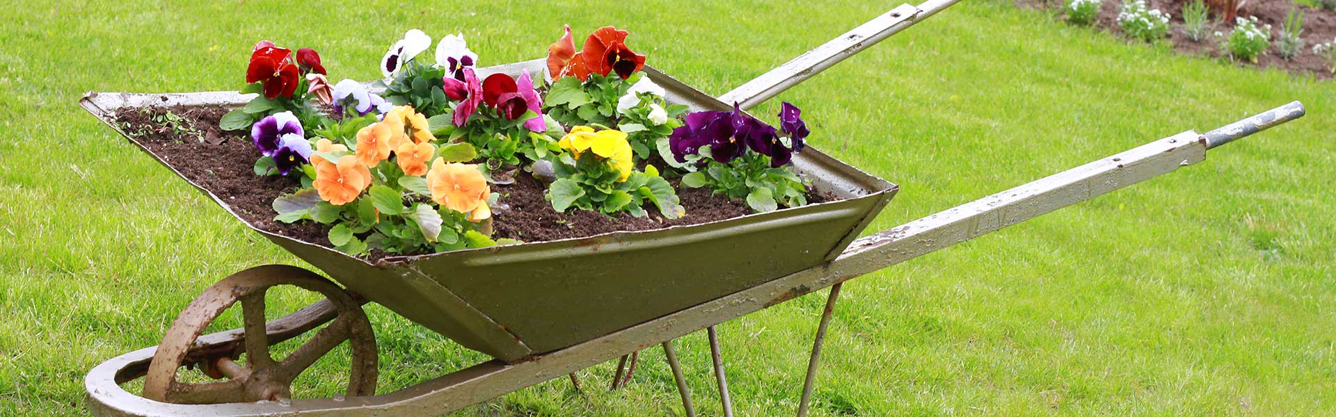 We are here to help you grow the best-looking garden ever!!