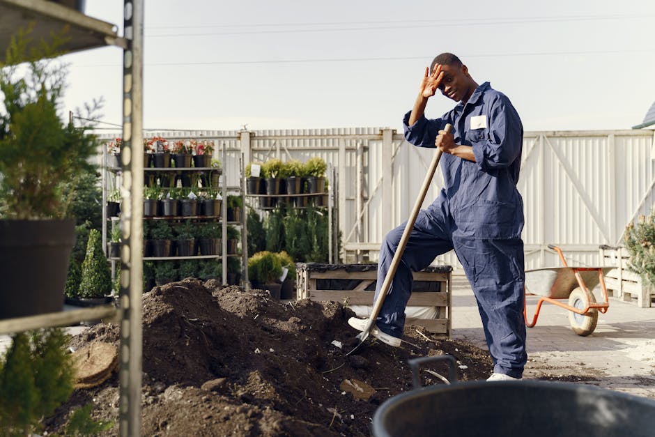 A young male gardener wearing a navy-blue work jumpsuit is standing on a paved garden area, holding a long-handled shovel and looking thoughtfully at a patch of dark, moist soil he is in the process of digging or planting. Behind him, there are garden beds and potted plants arranged on metal shelves, with various evergreen shrubs and flowering plants visible. To his right, there is an orange wheelbarrow and a wooden garden bed ready for planting. The garden is enclosed by a light-colored wooden fence, and the scene is lit by natural daylight, emphasizing the textures of the neatly trimmed grass, the soil, and the foliage. The setting suggests an outdoor garden maintenance or landscaping work session, with an emphasis on proper garden care steps. Natural elements like soil, plants, and tools are foregrounded, reflecting professional gardening activity and the importance of garden upkeep, as highlighted by Gardeners Sutton.
