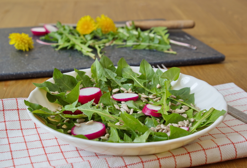 lawn maintenance Garden