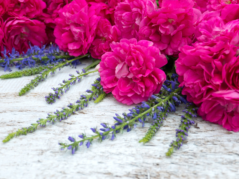 garden design irrigation system